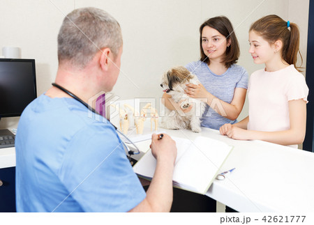 family with their puppy visiting veterinarian 42621777