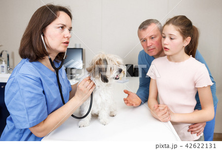 Woman veterinarian with visitors 42622131