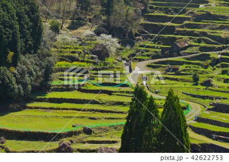 松谷棚田 42622753
