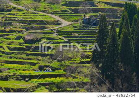 松谷棚田 42622754