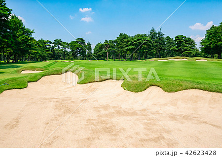 ゴルフ場 ゴルフコース バンカー ゴルフ場 ゴルフコース バンカー 42623428