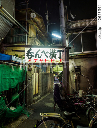 京成立石 呑んべ横丁 看板 夜景(2018年8月) 京成立石 呑んべ横丁 看板 夜景(2018年8月) 42623544