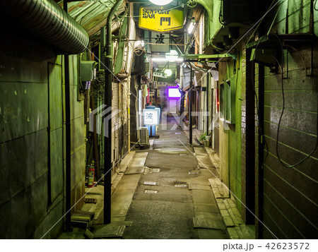 京成立石 呑んべ横丁 夜景(2018年8月) 京成立石 呑んべ横丁 夜景(2018年8月) 42623572