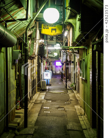 京成立石　呑んべ横丁　夜景（2018年8月） 42623573