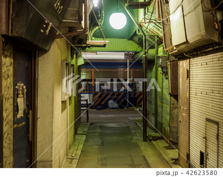 京成立石 呑んべ横丁 夜景(2018年8月) 京成立石 呑んべ横丁 夜景(2018年8月) 42623580