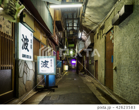 京成立石 呑んべ横丁 夜景(2018年8月) 京成立石 呑んべ横丁 夜景(2018年8月) 42623583