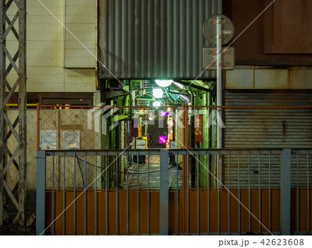 京成立石 呑んべ横丁 夜景(2018年8月) 京成立石 呑んべ横丁 夜景(2018年8月) 42623608