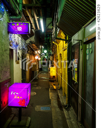 京成立石　呑んべ横丁　夜景（2018年8月） 42623629