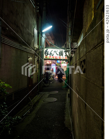 京成立石　呑んべ横丁　看板　夜景（2018年8月） 42623633