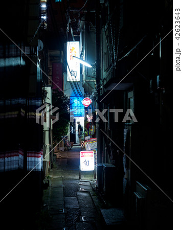 京成立石　夜景 42623643