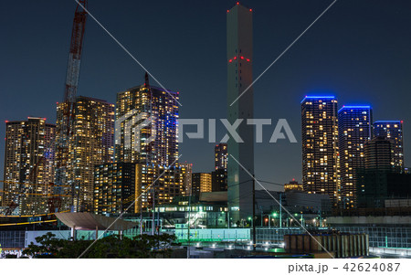 晴海埠頭 夜景 晴海埠頭 夜景 42624087