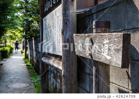 国分寺市 お鷹の道の道標 42624709