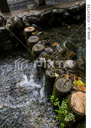 国分寺市 お鷹の道 真姿の池湧水郡 国分寺市 お鷹の道 真姿の池湧水郡 42624738