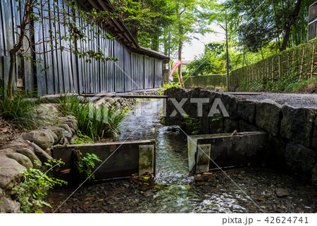 国分寺市 お鷹の道 真姿の池湧水郡 国分寺市 お鷹の道 真姿の池湧水郡 42624741