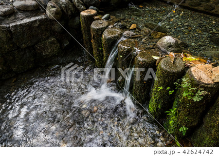 国分寺市 お鷹の道 真姿の池湧水郡 国分寺市 お鷹の道 真姿の池湧水郡 42624742