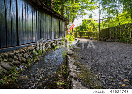 国分寺市 お鷹の道 真姿の池湧水郡 国分寺市 お鷹の道 真姿の池湧水郡 42624743