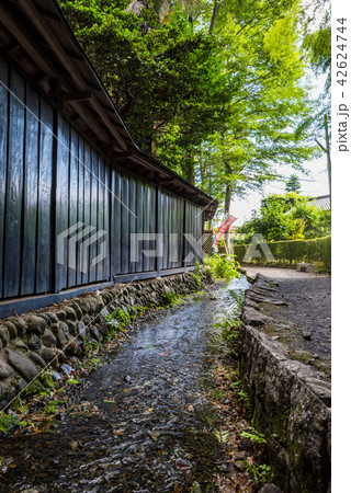国分寺市 お鷹の道 真姿の池湧水郡 国分寺市 お鷹の道 真姿の池湧水郡 42624744
