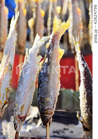 あゆの塩焼き　 sdgs サステイナブル　環境問題　河川の汚染　食料危機 42624799