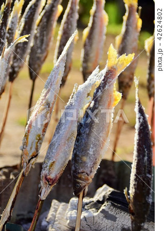 あゆの塩焼き あゆの塩焼き 42624802