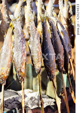 あゆの塩焼き　 sdgs サステイナブル　環境問題　河川の汚染　食料危機 42624833