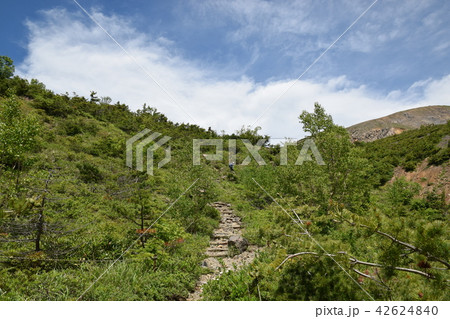 浄土平から鎌沼へ 浄土平から鎌沼へ 42624840