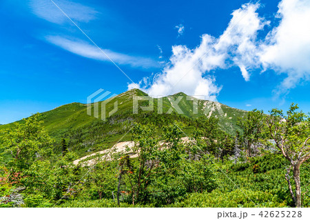 夏山 登山 アウトドア イメージ 夏山 登山 アウトドア イメージ 42625228