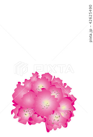 都道府県の花シンプル滋賀シャクナゲのイラスト素材