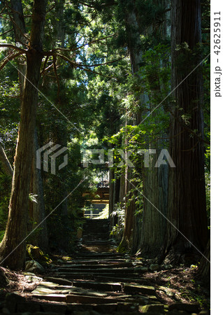 佐渡の清水寺 42625911