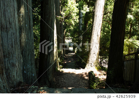 佐渡の清水寺 42625939