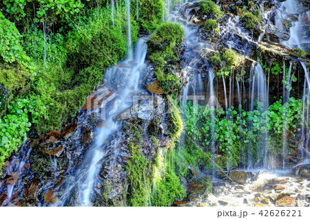 女の神氷水 42626221