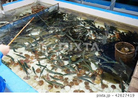 青森の旅夏泊半島 42627419