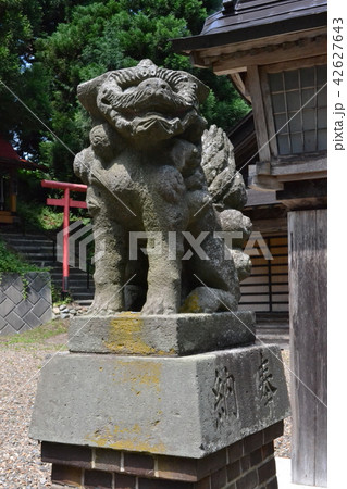 夏の弘前、小栗山神社の狛犬 42627643