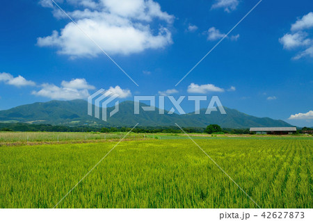 夏の蒜山高原(茅部野展望休憩所) 42627873