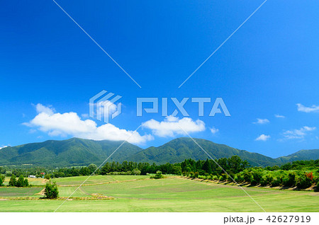 夏の蒜山高原 42627919