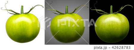 Group of green tomatoes isolated on different Group of green tomatoes isolated on different 42628783