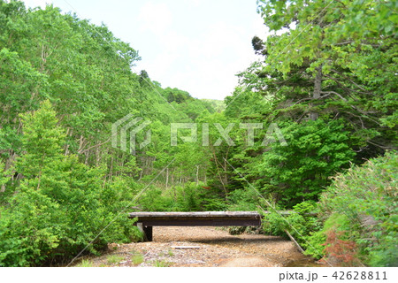 水の干上がった高原の水無川 水の干上がった高原の水無川 42628811