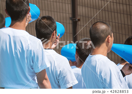 高校野球応援風景 42628853