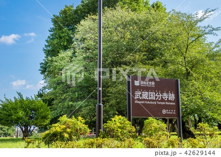 国分寺市 武蔵国分寺跡 42629144