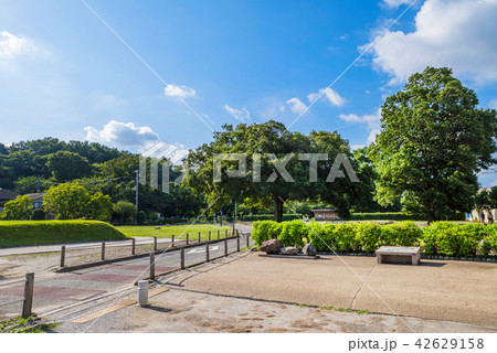 国分寺市 武蔵国分尼寺跡 42629158