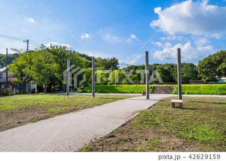 国分寺市 武蔵国分尼寺跡 42629159