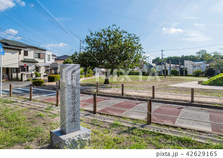 国分寺市 武蔵国分尼寺跡 42629165