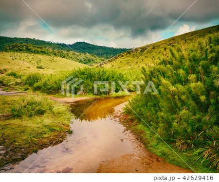The Horton Plains. Beautiful landscape. Sri lanka The Horton Plains. Beautiful landscape. Sri lanka 42629416
