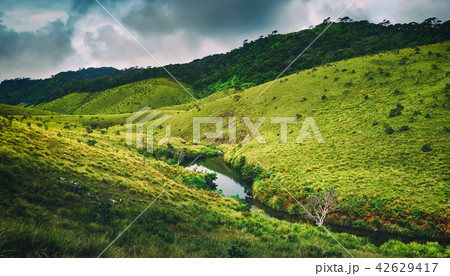 The Horton Plains.Sri lanka panorama The Horton Plains.Sri lanka panorama 42629417