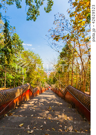 stairway to Wat Prathat Doi Wao at Mae Sai stairway to Wat Prathat Doi Wao at Mae Sai 42629523