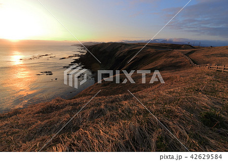 夕陽に染まる襟裳岬 42629584