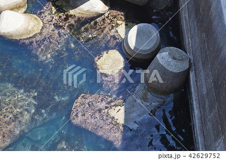 島根県 小伊津町 海岸 島根県 小伊津町 海岸 42629752