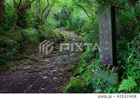 （神奈川県）史跡箱根旧街道　石畳の道 42632408