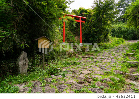 （神奈川県）史跡箱根旧街道　石畳の道　権現坂 42632411