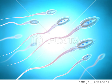 sperm cells moving to the right towards egg c 42632871