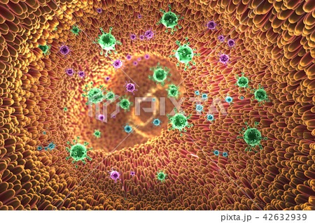 closeup showing viruses and intestine villus  42632939